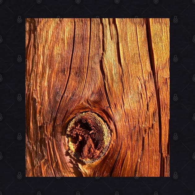 Wood Bark Wood Trunk Nature by BurunduXX-Factory